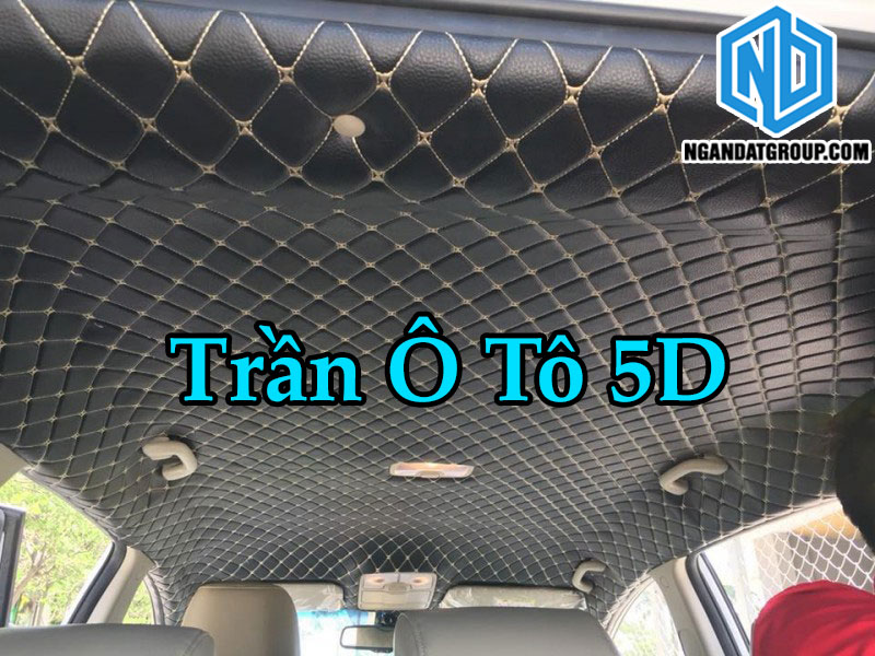 Trần Ô Tô 5D