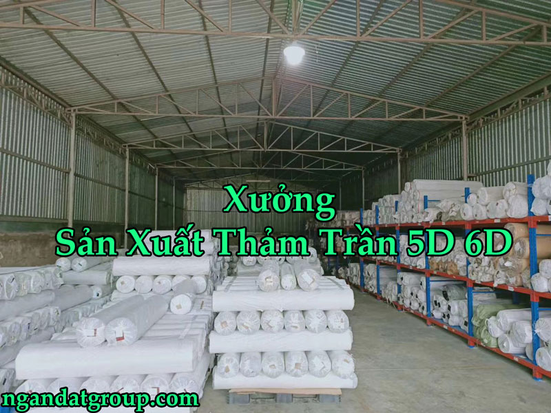 Xưởng Sản Xuất Thảm Trần 5D 6D