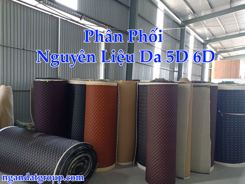 Phân Phối Nguyên Liệu Da 5D 6D